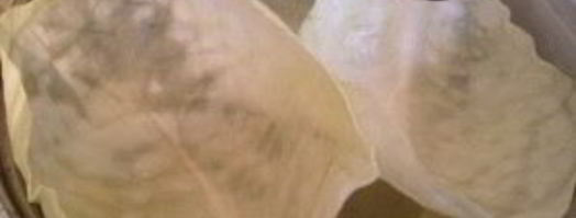 маринованные голубцы с морковкой. Шаг 2