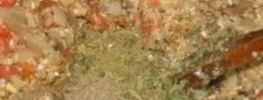 постная долма. Шаг 7