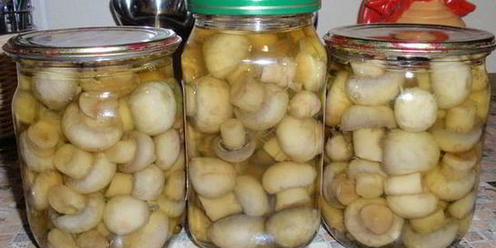 Домашние консервированные шампиньоны