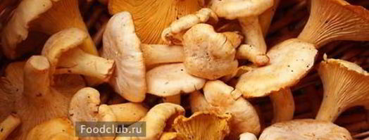 грибы-кокот. Шаг 2