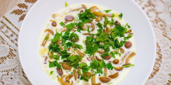 Грибы лисички