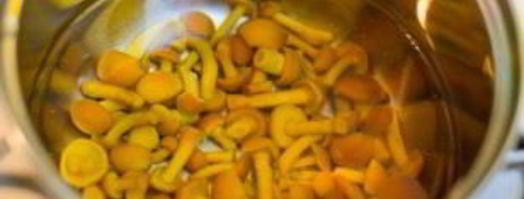 грибы лисички. Шаг 2