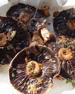 Грибы портобелло запеченные