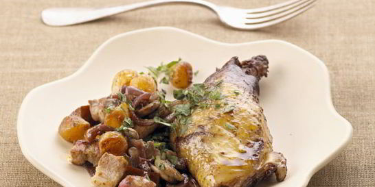 Грибы тещин язык