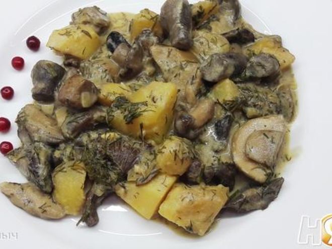 Рецепт грибов в сметане с картофелем