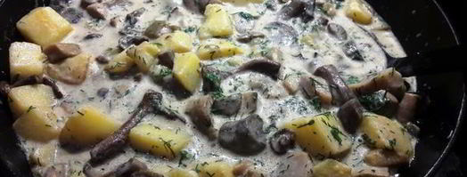 грибы в сметане с картофелем. Шаг 10