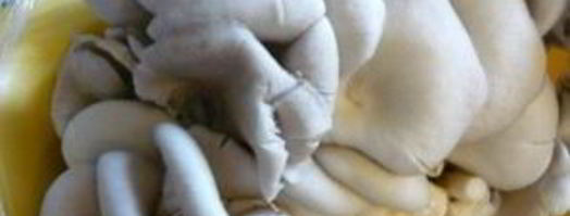 грибы, жаренные с колбасой. Шаг 2