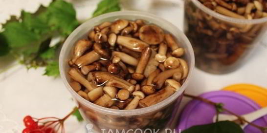 Опята в сладком маринаде