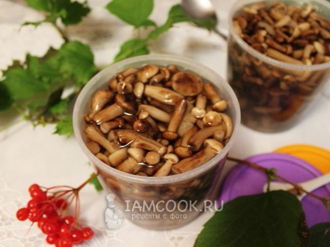 Рецепт опят в сладком маринаде