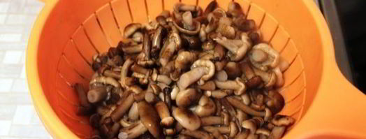 опята в сладком маринаде. Шаг 4