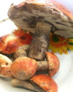 Подосиновики, жареные с луком