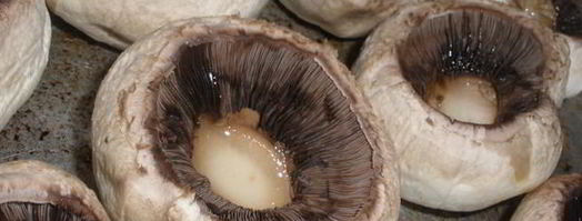 шампиньоны фаршированные курицей. Шаг 3