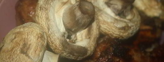 шампиньоны с чесночным ароматом на мангале. Шаг 6