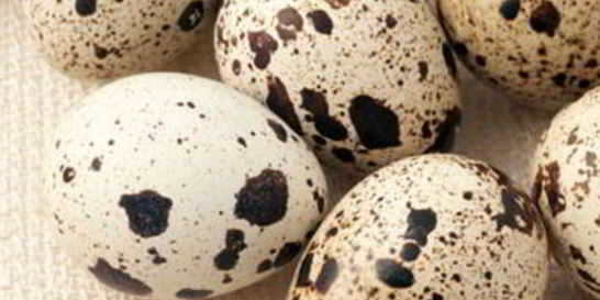 Шампиньоны с перепелиными яйцами