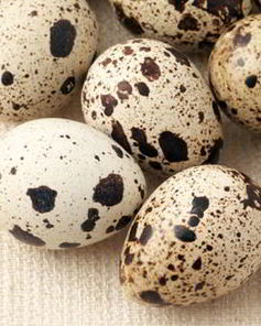 Шампиньоны с перепелиными яйцами