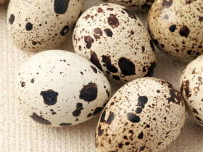 Рецепт шампиньонов с перепелиными яйцами