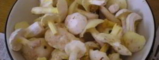 соленые маслята жареные. Шаг 2