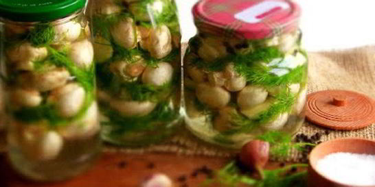 Соленые шампиньоны