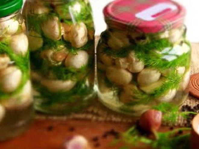 Рецепт соленых шампиньонов