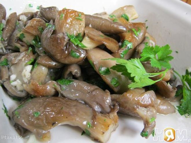 Рецепт вешенок в чесночном маринаде