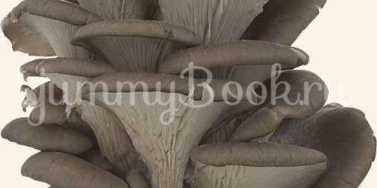 Вешенки в маринаде