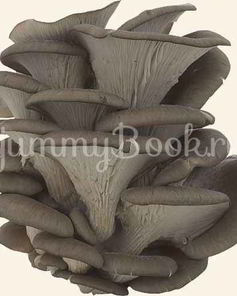 Вешенки в маринаде