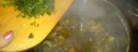 вешенки в маринаде. Шаг 15