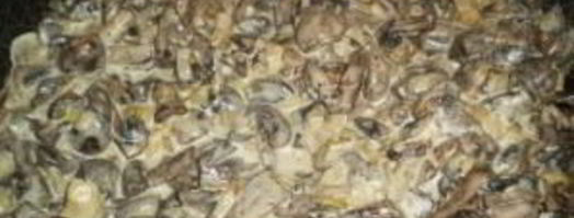 вешенки жареные с луком и сметаной. Шаг 3