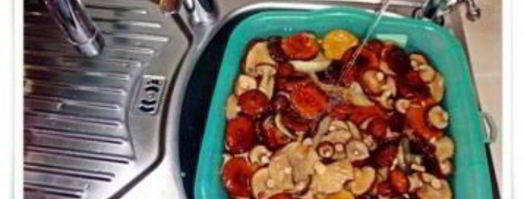 волнушки в маринаде. Шаг 2