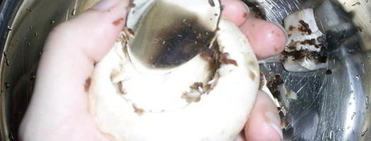 закусочные фаршированные шампиньоны. Шаг 2