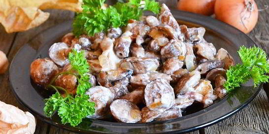 Жареные маслята в сметане