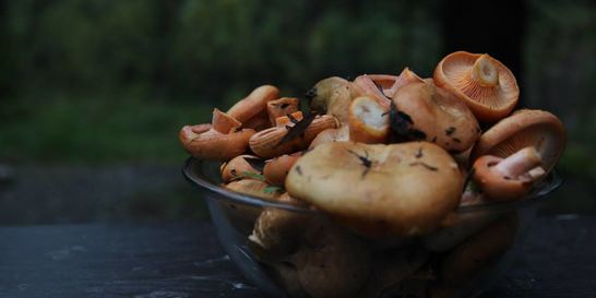 Жареные рыжики