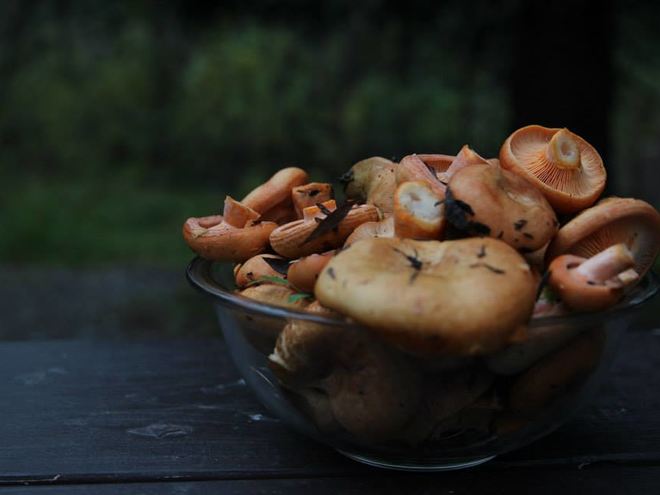 Рецепт жареных рыжиков