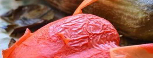 баклажанные котлетки со сладким перцем. Шаг 3