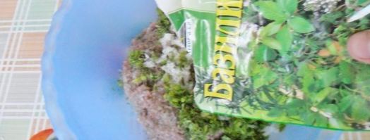 казан котлеты, котлеты в кастрюле. Шаг 5