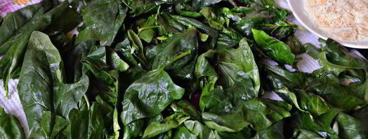 лазанья из индейки со шпинатом и соусом из тыквы. Шаг 6