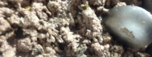 лазанья из савойской капуты. Шаг 7