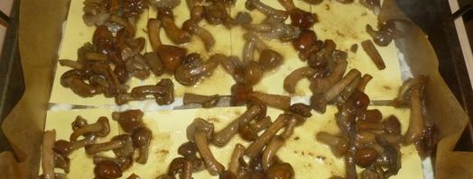 лазанья с опятами. Шаг 4