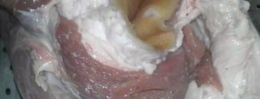 грудинка свиная вареная в ароматных специях. Шаг 2