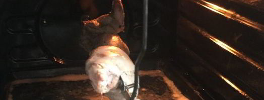 кролик-гриль в духовке. Шаг 4