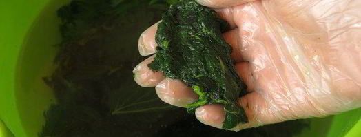 сочная телятина с соусом из крапивы. Шаг 11