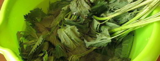 сочная телятина с соусом из крапивы. Шаг 9