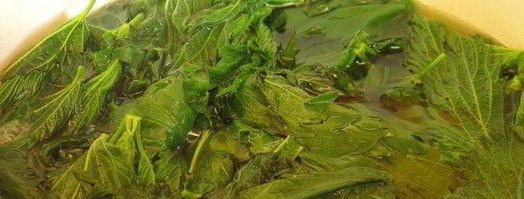 сочная телятина с соусом из крапивы. Шаг 10