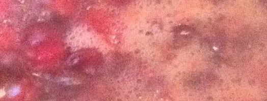 утка под клюквенно-имбирным соусом. Шаг 3