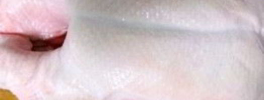 утка с яблоками. Шаг 2