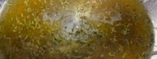 утка с яблоками. Шаг 3