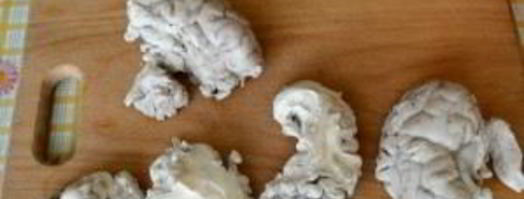 жареные телячьи мозги в кляре. Шаг 4