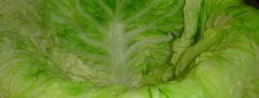 капуста, фаршированная мясом. Шаг 6