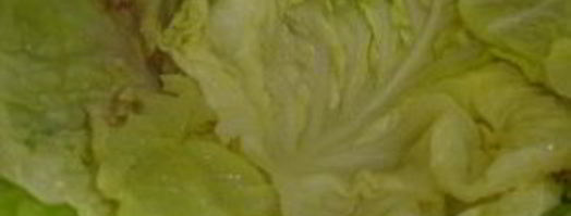 капуста, фаршированная мясом. Шаг 8