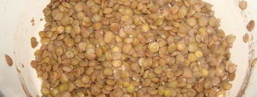 капуста тушеная с чечевицей. Шаг 3